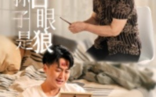 短剧《我的孙子是白眼狼（44集全）》免费观看