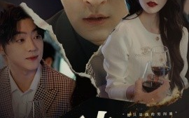 短剧《破镜重圆终有隙（60集）刘源&丁敬一 (2025)》全集免费在线观看