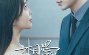 短剧《相思不似相逢(97集全）》免费观看