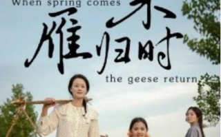 短剧《春来雁归时（1-61集）》全集免费在线观看