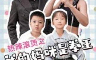 短剧《热辣滚烫之我的妈咪是拳王（70集全）》免费观看