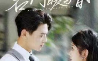 短剧《名门暖婚》全集免费观看