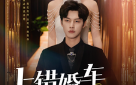 短剧《上错婚车嫁对郎（60集）闵杰＆秦天爱 (2025)》全集免费在线观看