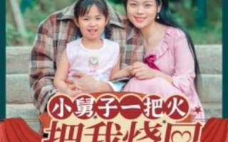 短剧《小舅子一把火把我烧回80年代（1-100集）》全集免费在线观看