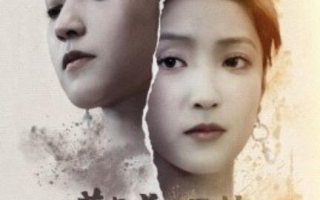 短剧《董事长又开始虐渣了（34集全）》免费在线观看