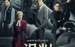 误判 The Prosecutor (2024)高清蓝光4k免费在线观看
