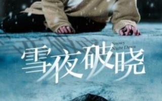 短剧《雪夜破晓（1-36集）》全集免费在线观看
