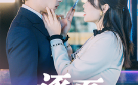 短剧《逐夏 (2025)》全集免费在线观看
