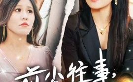 短剧《前尘往事，一场空（40集）傅宇航 &屈婉琼 (2025)》全集免费在线观看