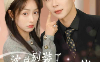 短剧《沈总别装了，你夫人也是大佬（86集全）》免费观看