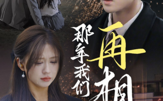 短剧《那年我们再相逢（65集）张北淅＆柴慧欣》全集免费在线观看