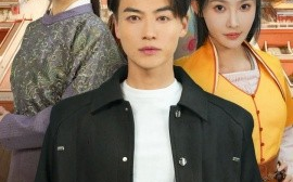 短剧《寻妻记 (2025)》全集免费在线观看