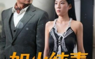 短剧《如火纯青（1-45集）》全集免费在线观看