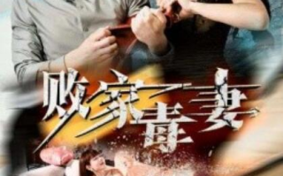 短剧《败家毒妻（1-32集）》全集免费在线观看