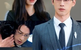 短剧《心动请低调 (2024)》全集免费在线观看