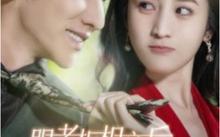 短剧《跟老板相亲后每天都在社死（83集全）》免费观看