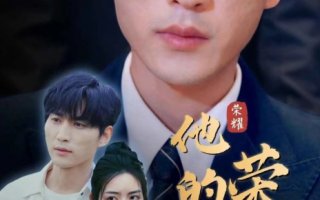 短剧《他的荣耀》全集免费观看