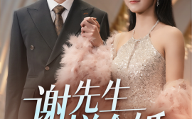 短剧《谢先生拼个婚 (2025)》全集免费在线观看