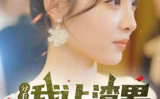 短剧《分手后，我让渣男跪地求饶（1-106集）》全集免费在线观看