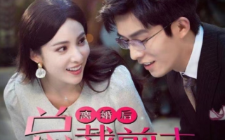 短剧《离婚后总裁前夫日日追妻（100集全）》免费观看