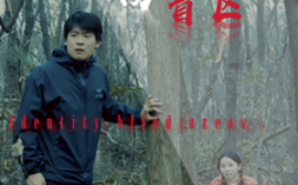 短剧《身份盲区（12集）(2025)》全集免费在线观看