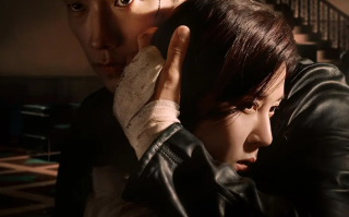 韩剧《红天鹅（10集全）》高清HD1080p完整版在线免费观看