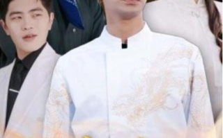 短剧《厨艺天下（1-30集）》全集免费在线观看