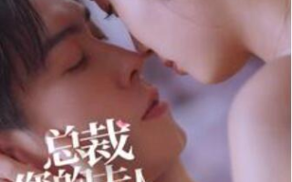 短剧《总裁您的夫人是村花（1-30集）》全集免费在线观看