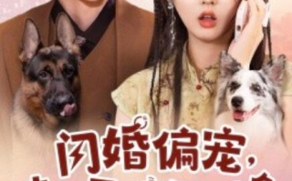 短剧《闪婚偏宠，夫人马甲有亿点多（1-85集）》全集免费在线观看
