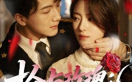 短剧《枪与玫瑰：少帅的逃爱游戏（76集）刘轩＆马蕊 (2025)》全集免费在线观看