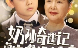 短剧《奶孙奇遇记萌宝携福来孝亲 (2024)》全集免费在线观看