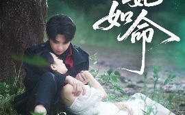 短剧《嗜她如命（77集）肖文宇 (2025)》全集免费在线观看