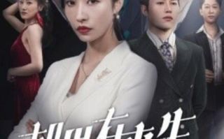 短剧《如果有来生（36集全）》高清免费在线观看