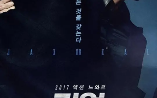 真实 리얼 (2017)高清蓝光4k免费在线观看