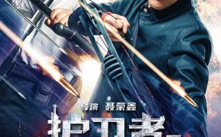 护卫者3：决战 (2025)高清蓝光4k免费在线观看