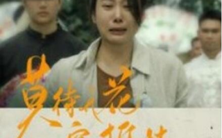 短剧《莫待无花空折枝（75集全）》免费观看
