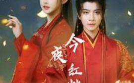 短剧《今夜红烛不见君 (2025)》全集免费在线观看