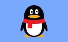 QQ APP QQ谷歌版（8.2.11）