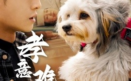 短剧《孝意难偿 (2025)》全集免费在线观看