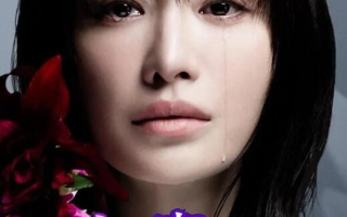 日剧《直到破坏了丈夫的家庭（10集全）》高清HD1080p完整版在线免费观看
