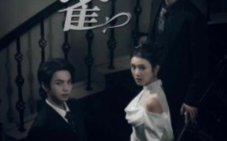 短剧《囚雀（笼中鸟）掌中之物（66集全）》免费在线观看