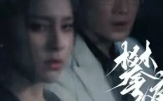 短剧《攀缠（63集全）》免费观看