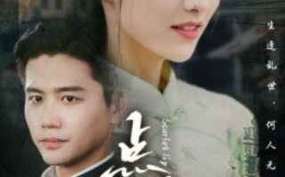 短剧《点绛唇（83集全）》免费观看