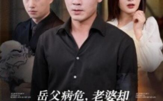 短剧《岳父病危，老婆却陪着她初恋（1-31集）》全集免费在线观看