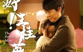 短剧《你好！王桂英（43集）(2025)》全集免费在线观看