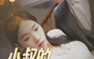短剧《小叔的笨蛋女主角（1-40集）》全集免费在线观看