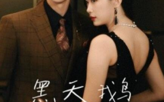 短剧《黑天鹅攻略手册（1-72集）》全集免费在线观看