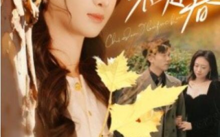 短剧《迟冬不赴春（1-56集）》全集免费在线观看