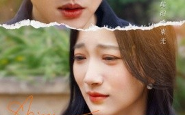 短剧《再见谢随 (2025)》全集免费在线观看