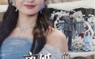 短剧《离婚后，前夫全家跪求我原谅（30集全）》免费观看